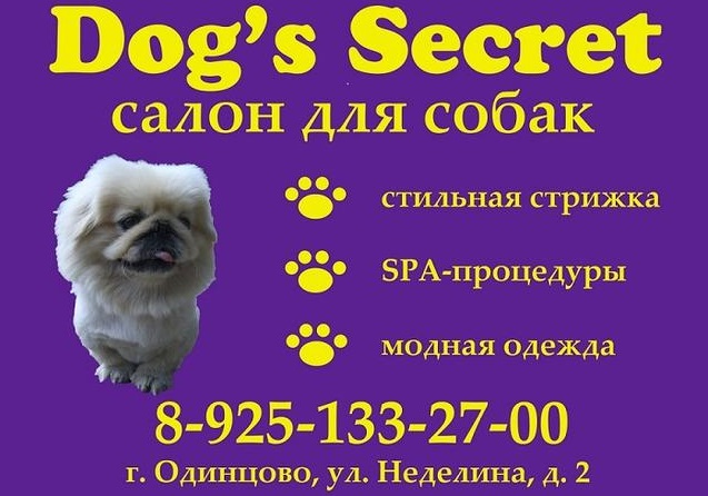 Dog's secret