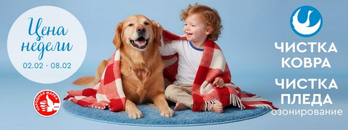 Акции Диана "Цена недели" на чистку ковра и пледа февраль 2026