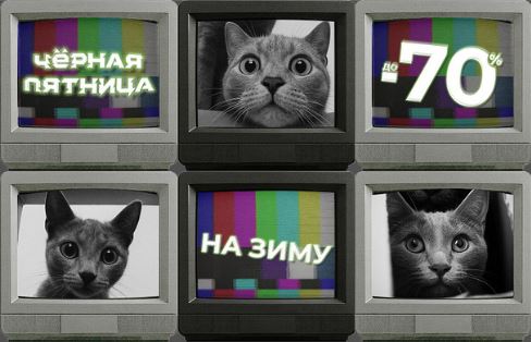 Черная пятница в Zenden. До 70% на хиты Осень-Зима 2025/2026