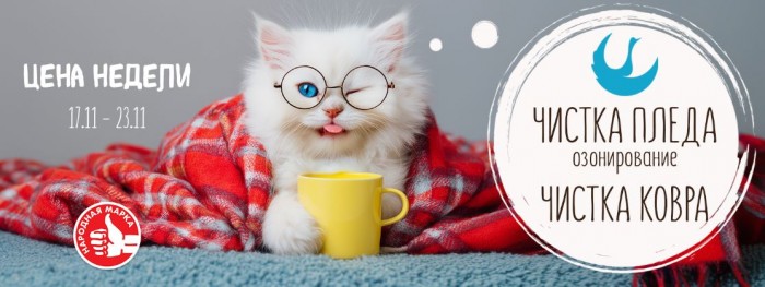 Акции Диана "Цена недели" на чистку ковра и пледа ноябрь 2025